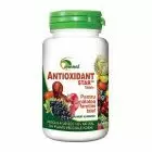 Antioxidant Star 50 tbl, Ayurmed