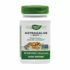Astragalus 100 cps, Nature's Way