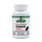 Chaga (Ciaga) C-Max 60 cps, Provita Nutrition