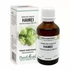 Extract din conuri de Hamei 50ml, Plantextrakt