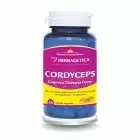 Cordyceps 10/30/1 Ciuperca Tibetana Forte 60 cps, Herbagetica
