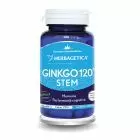 Ginkgo 120 STEM 30 cps, Herbagetica 