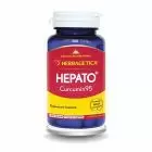 Hepato Curcumin 95 60 cps, Herbagetica