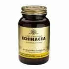 Echinacea 100 cps, Solgar