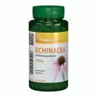 Extract de Echinacea 250mg 90 cps, Vitaking
