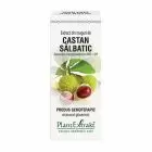 Extract din muguri de Castan Salbatic 50ml, PlantExtrakt