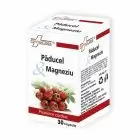 Paducel & Magneziu 30 cps, FarmaClass
