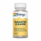 Parasites Cleanse 60 tbl, Solaray
