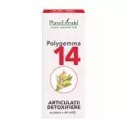 Polygemma 14 - Articulatii detoxifiere 50ml, Plantextrakt