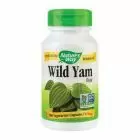 Wild Yam 425mg 100 cps, Nature's Way