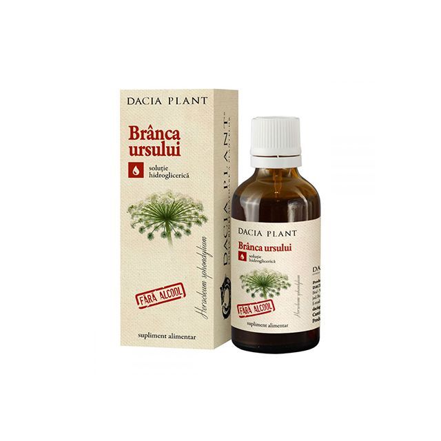 Branca ursului tinctura fara alcool 50ml, Dacia Plant