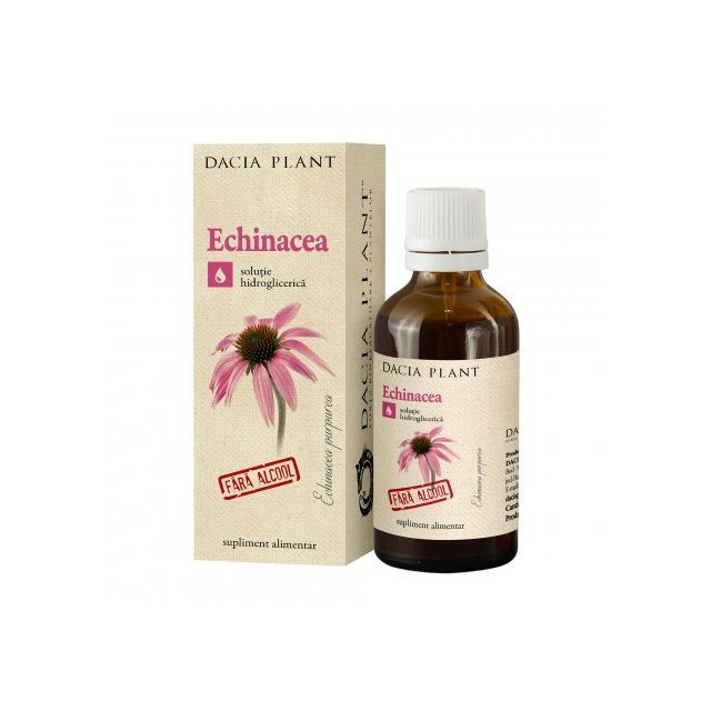 Echinacea tinctura fara alcool 50ml, Dacia Plant