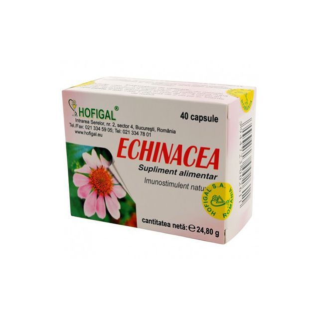 Echinacea extract concentrat 40 cps,  Hofigal