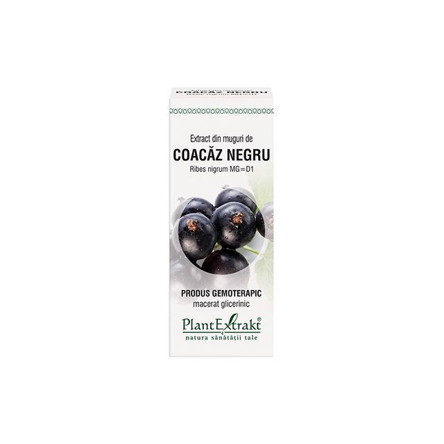 Extract din muguri de Coacaz Negru 50ml, PlantExtrakt