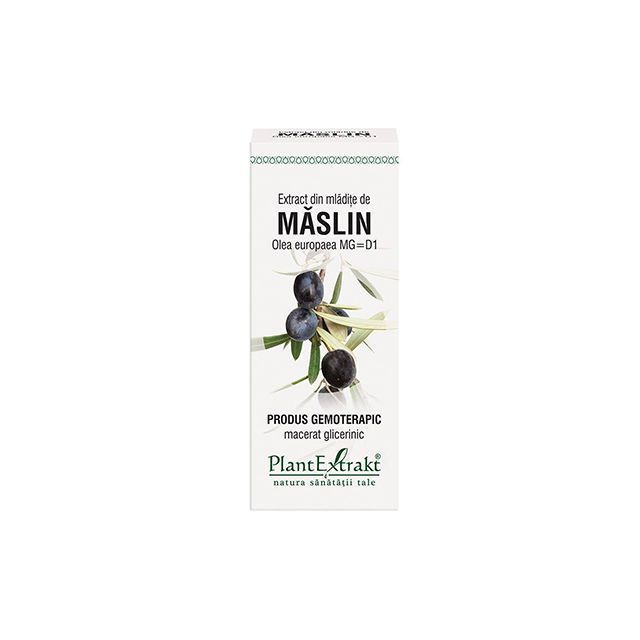 Extract din mladite de Maslin 50 ml, PlantExtrakt