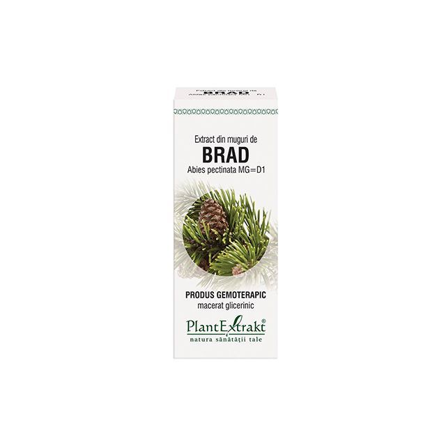Extract din muguri de Brad 50ml, PlantExtrakt