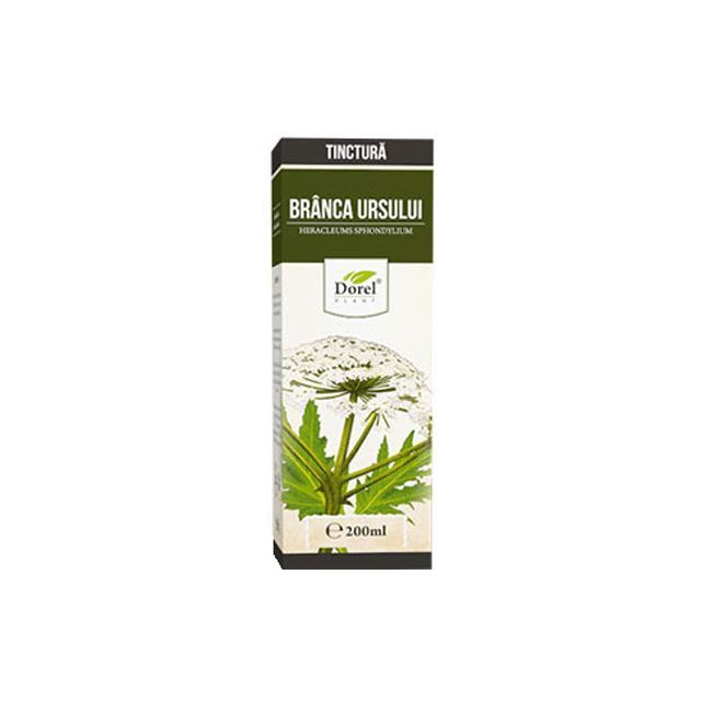 Tinctura de Branca ursului 200ml, Dorel Plant