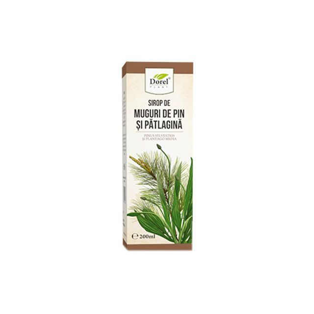 Sirop de Muguri de pin si patlagina 200ml, Dorel Plant