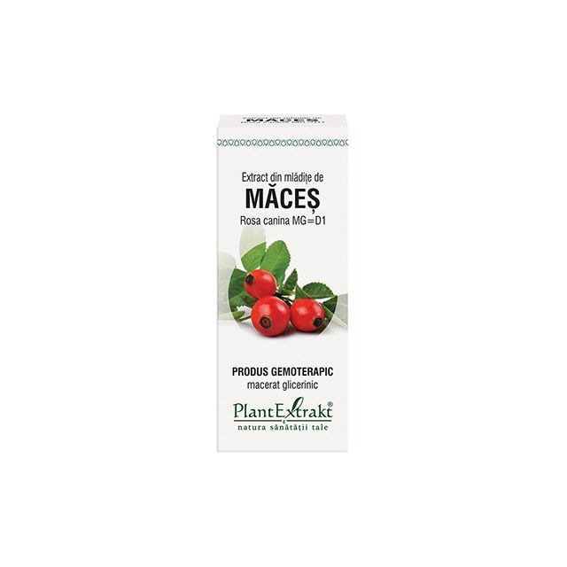 Extract din mladite de Maces 50ml, PlantExtrakt