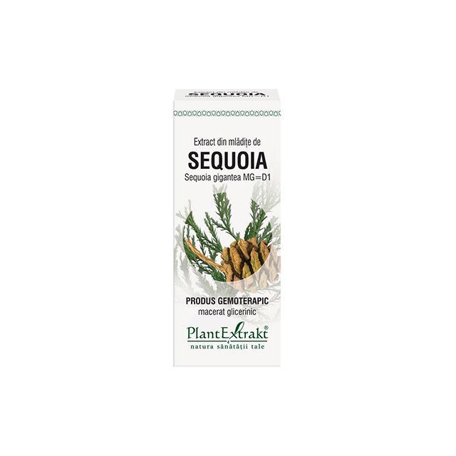 Extract din mladite de Sequoia 50ml, PlantExtrakt