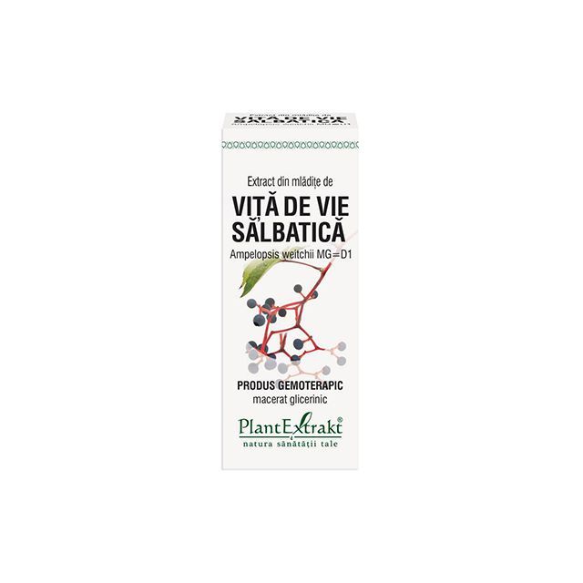 Extract din mladite de Vita de Vie Salbatica 50ml, PlantExtrakt
