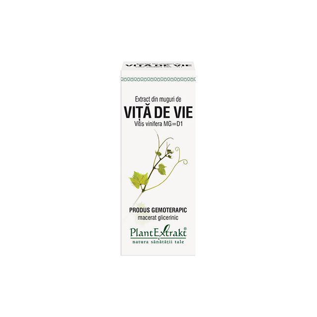 Extract din muguri de Vita de Vie 50ml, PlantExtrakt