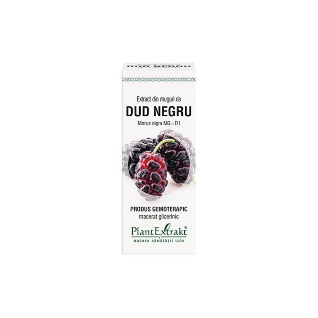 Extract din muguri de Dud Negru 50ml, PlantExtrakt