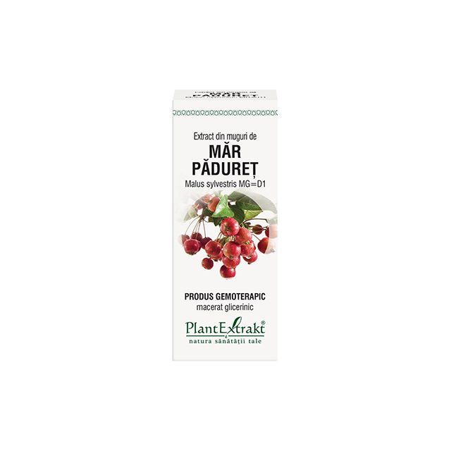 Extract din muguri de Mar Paduret 50ml, PlantExtrakt