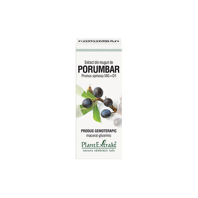 Extract din muguri de Porumbar 50ml, PlantExtrakt