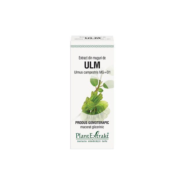 Extract din muguri de Ulm 50ml, PlantExtrakt