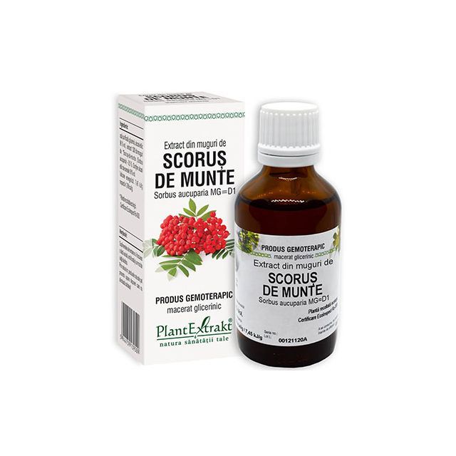 Extract din muguri de Scorus-de-Munte 50ml, Plantextrakt