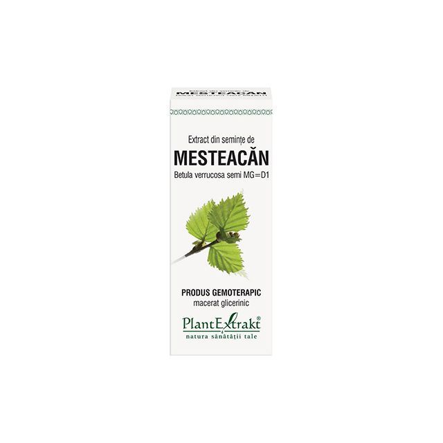 Extract din seminte de Mesteacan 50ml, PlantExtrakt