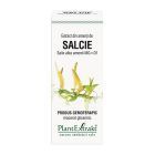 Extract din amenti de Salcie 50ml, PlantExtrakt 