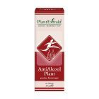 Antialcool Plant 50ml, Plantextrakt
