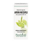 Extract din muguri de Arin Negru 50ml, PlantExtrakt