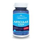 Articular STEM 30 cps, Herbagetica