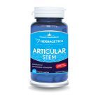 Articular STEM 60 cps, Herbagetica