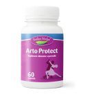 Arto Protect 60 cps, Indian Herbal