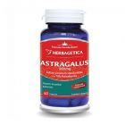 Astragalus 60 cps, Herbagetica