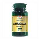 Astragalus Extract 450g echiv. 9000mg 30 cps, Cosmo Pharm