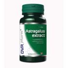 Astragalus extract 60 cps, DVR Pharm