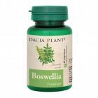 Boswellia 60cpr, Dacia Plant