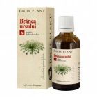 Branca Ursului tinctura 50ml, Dacia Plant