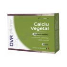 Calciu vegetal 20 cps, DVR Pharm