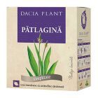 Ceai de Patlagina 50g, Dacia Plant