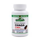 Chaga (Ciaga) C-Max 60 cps, Provita Nutrition