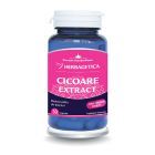 Cicoare Extract 30 cps, Herbagetica  