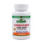 Cordyceps CSM-2000 90 cps, Provita Nutrition