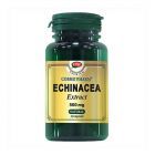 Echinacea extract 500mg 30 cps, Cosmo Pharm