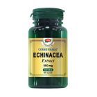 Echinacea extract 500mg 60 cps, Cosmo Pharm
